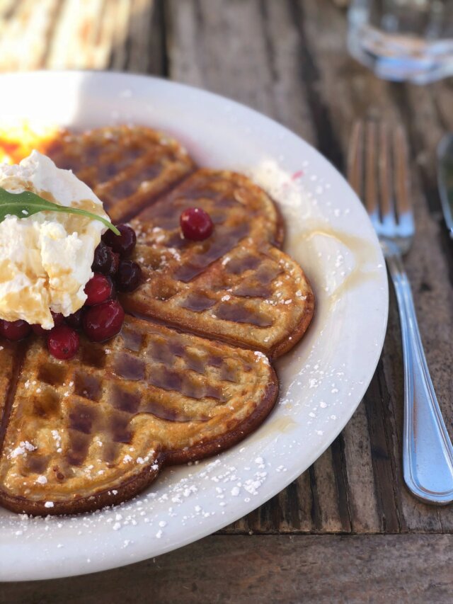 Waffle with a scoop of vanilla ice-cream